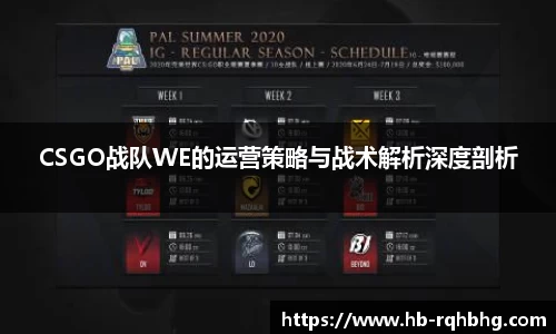 CSGO战队WE的运营策略与战术解析深度剖析